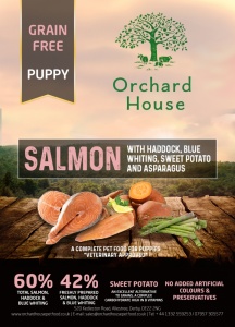Grain Free Salmon with Haddock, Blue Whiting Sweet Potato & Asparagus - Puppy